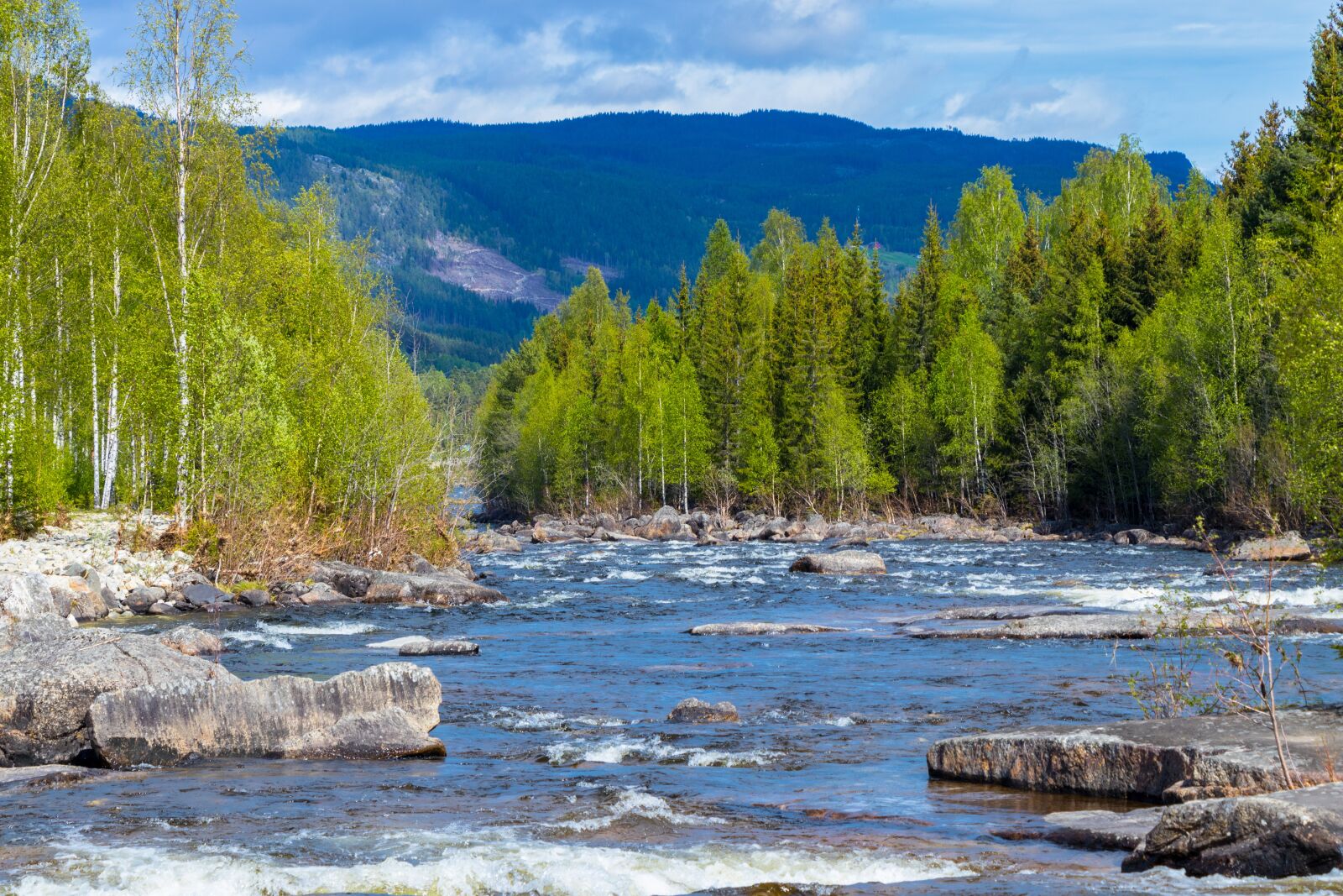 Canon EOS 80D sample photo. Norway, river, view photography