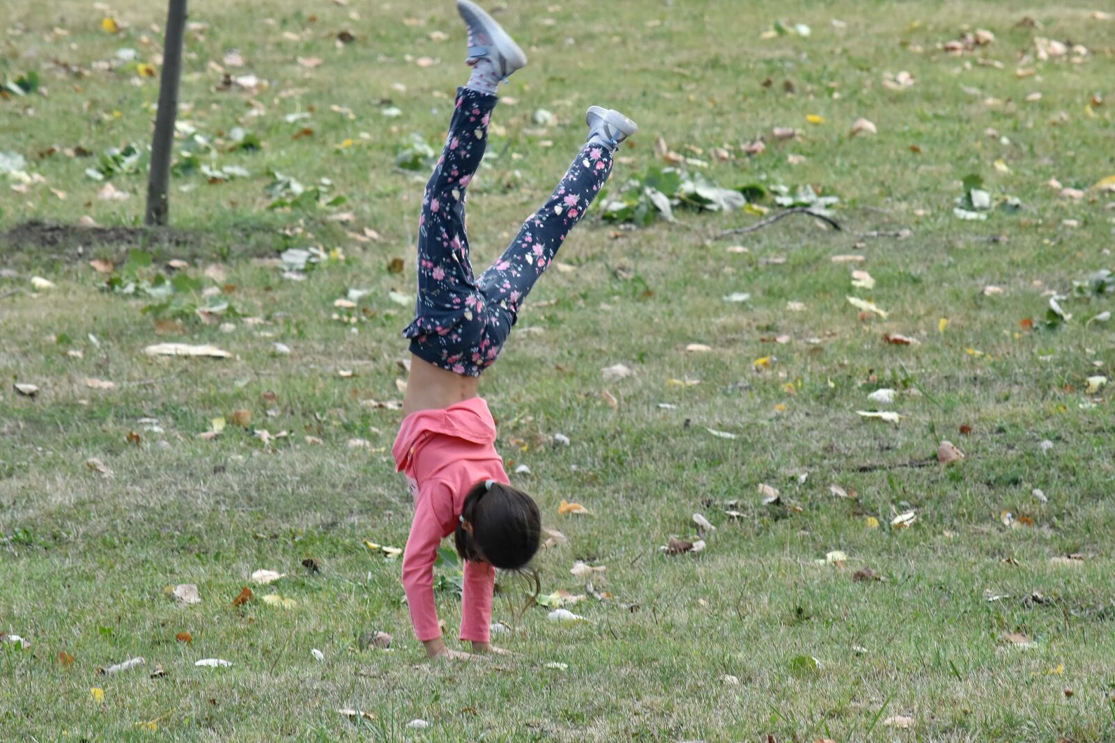 Nikon D5500 sample photo. Jumping, physical activity, pretty photography