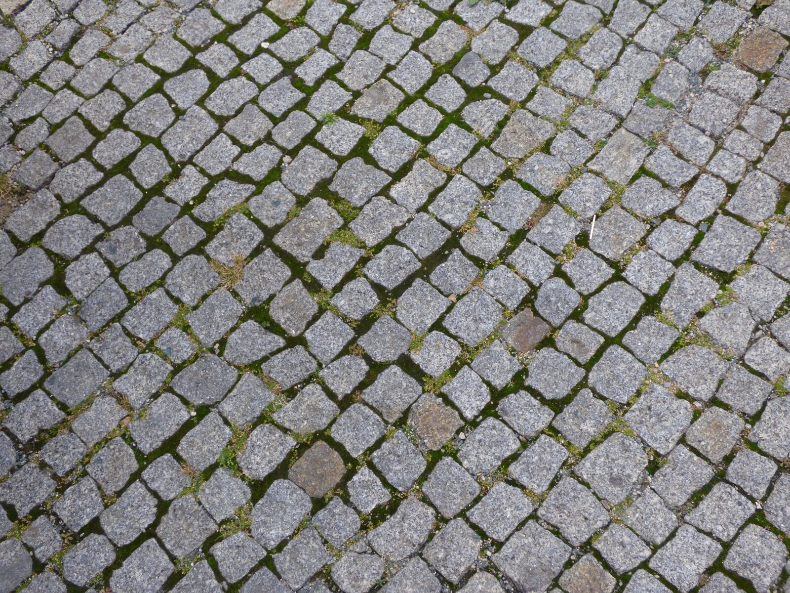 Panasonic DMC-FZ72 sample photo. Pavement, cube, pavers photography