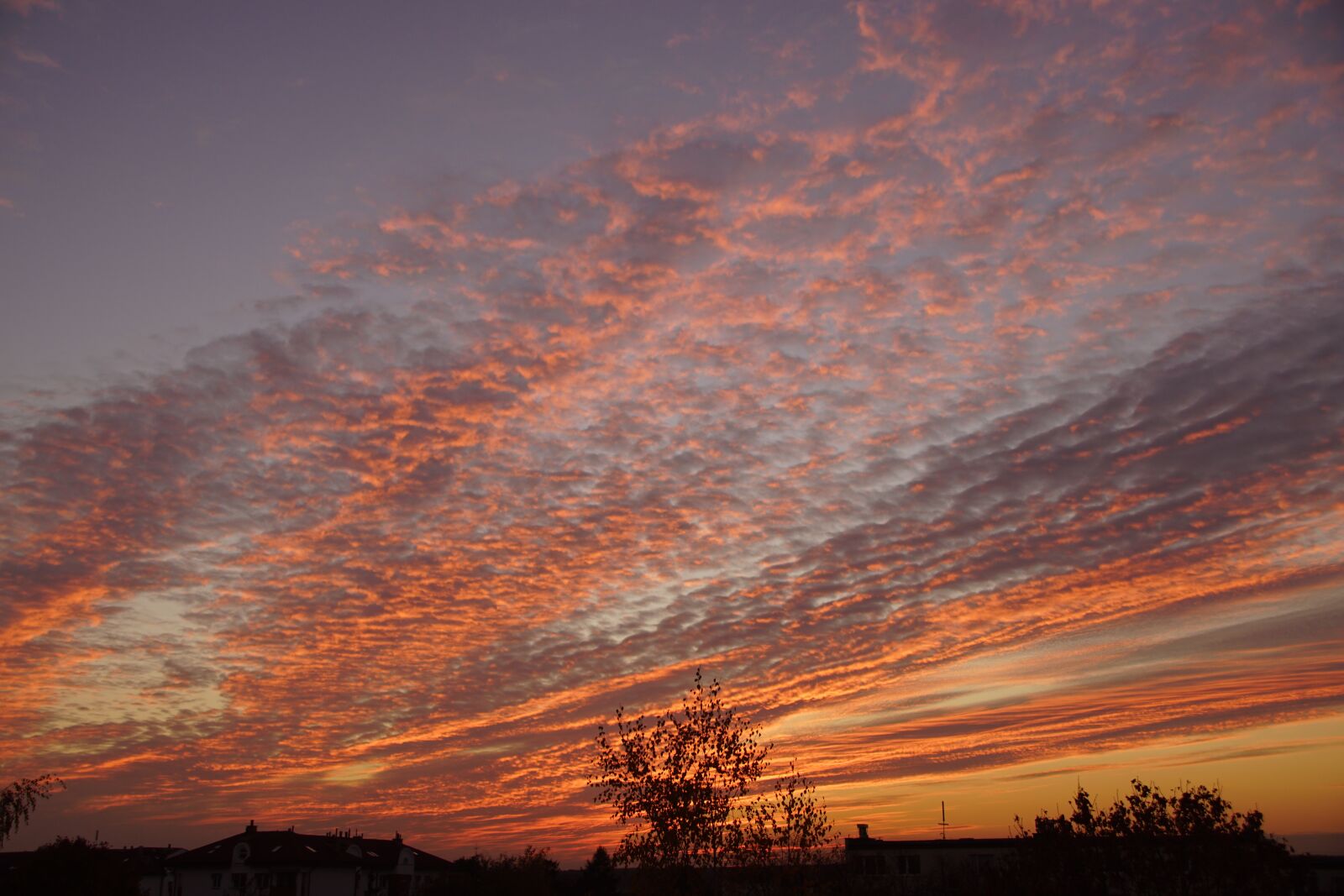 Sony SLT-A68 + Sony DT 18-200mm F3.5-6.3 sample photo. West, the sun, sky photography