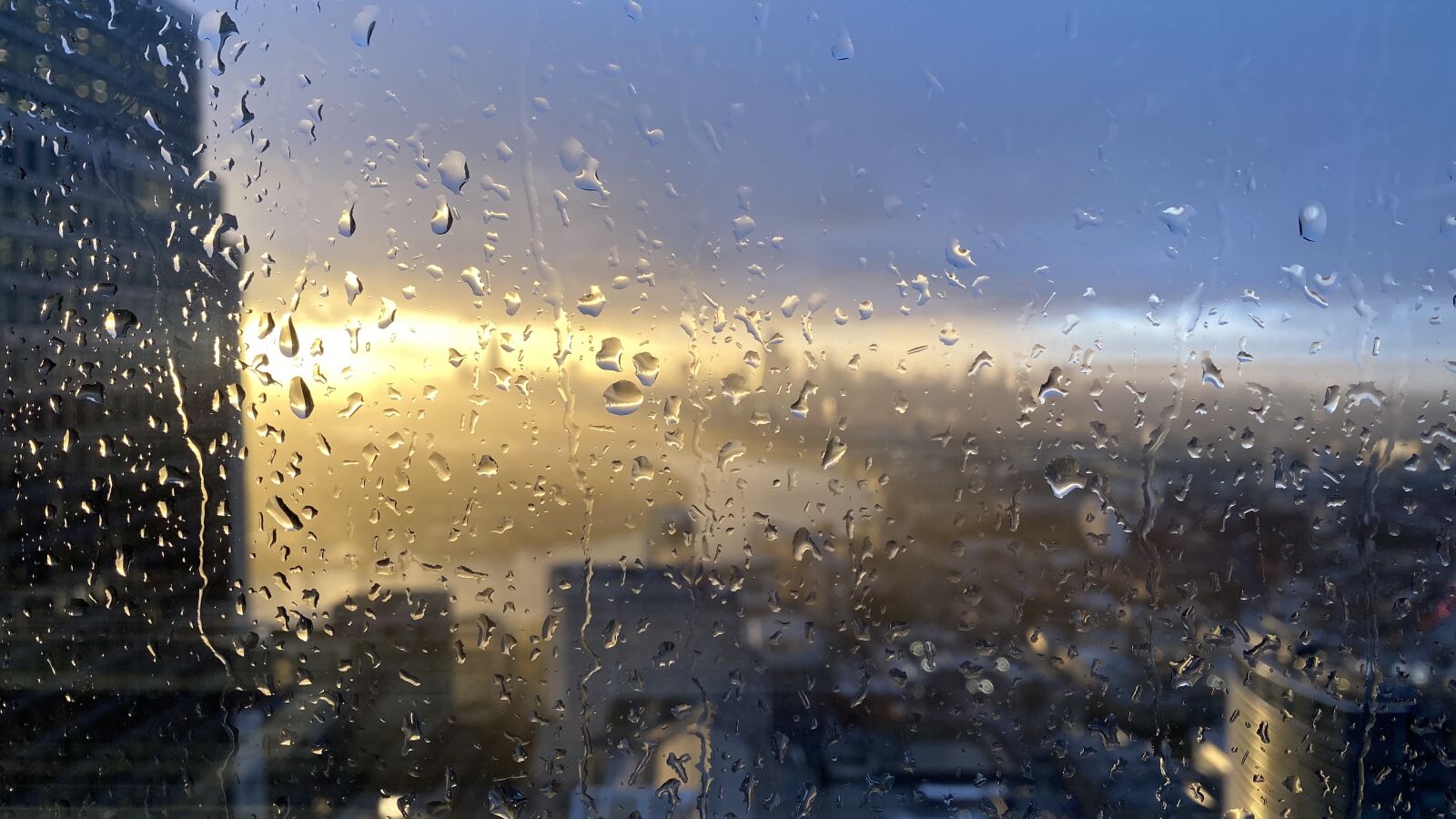 Apple iPhone 11 Pro Max sample photo. Rain, london, england photography