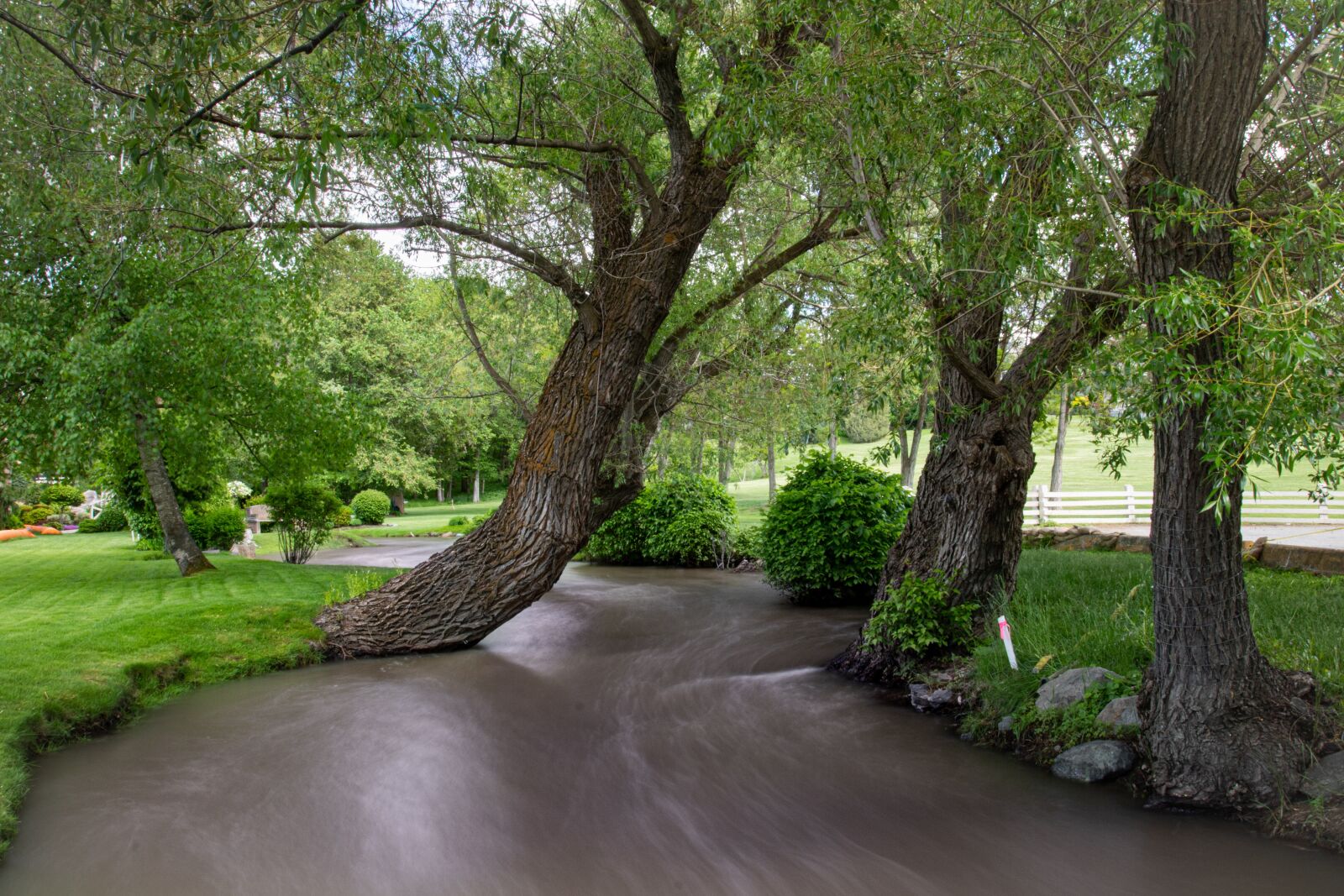 Canon EF 17-40mm F4L USM sample photo. Willow tree, river, long photography
