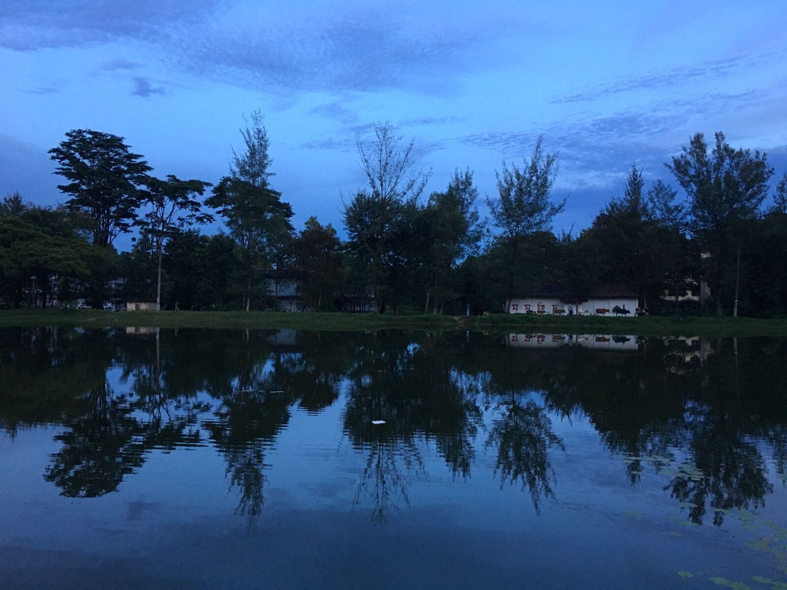 iPhone 6s back camera 4.15mm f/2.2 sample photo