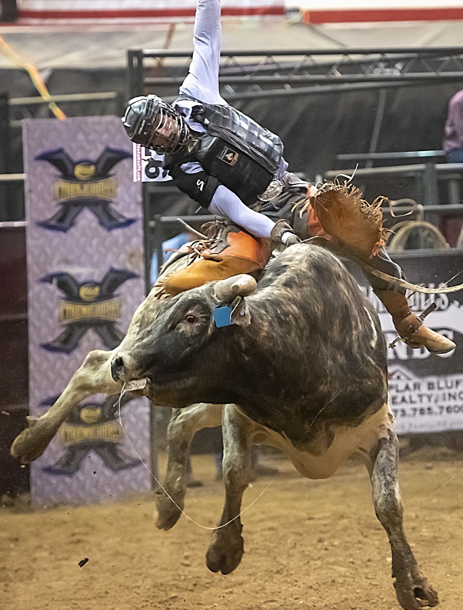 Nikon D850 sample photo. Bull, bull riding, rodeo photography