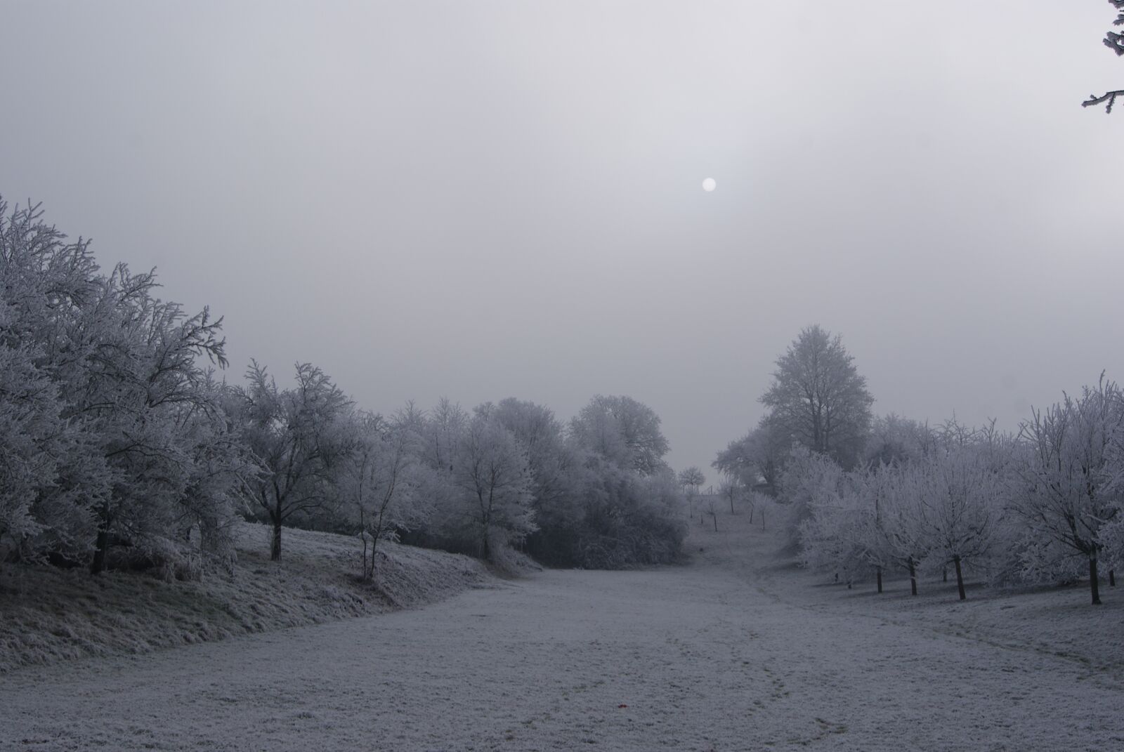 Sony Alpha DSLR-A230 sample photo. Snow, wintry, winter photography