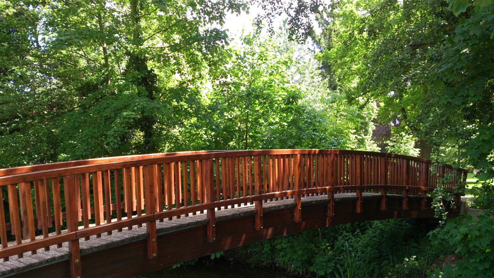 Sony Xperia T sample photo. Wooden bridge, forest, nature photography