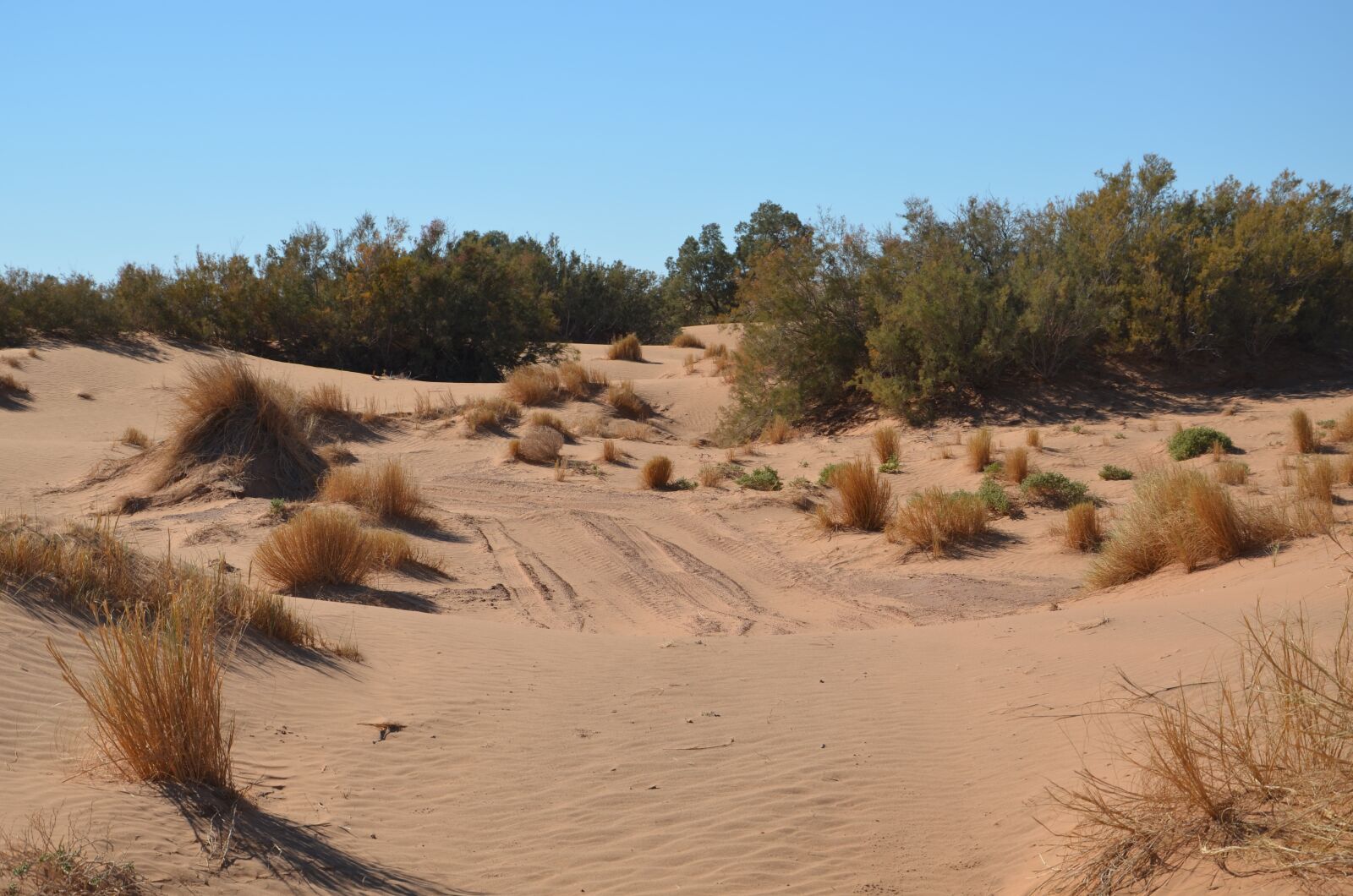 Nikon D5100 sample photo. Desert, sand, sahara photography