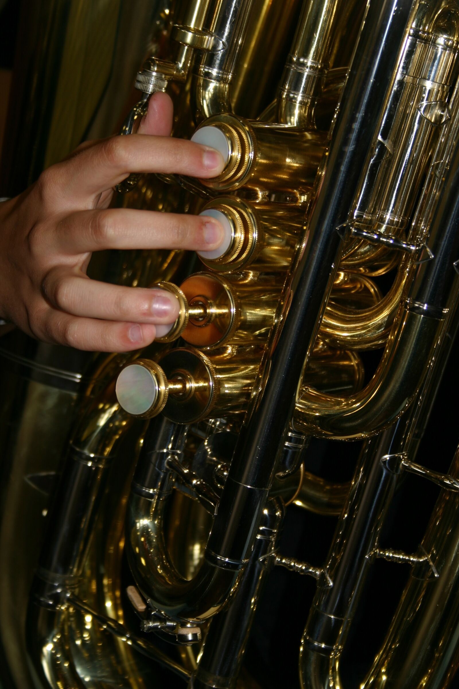 Canon EOS 300D (EOS Digital Rebel / EOS Kiss Digital) sample photo. Tuba, copper, piston photography