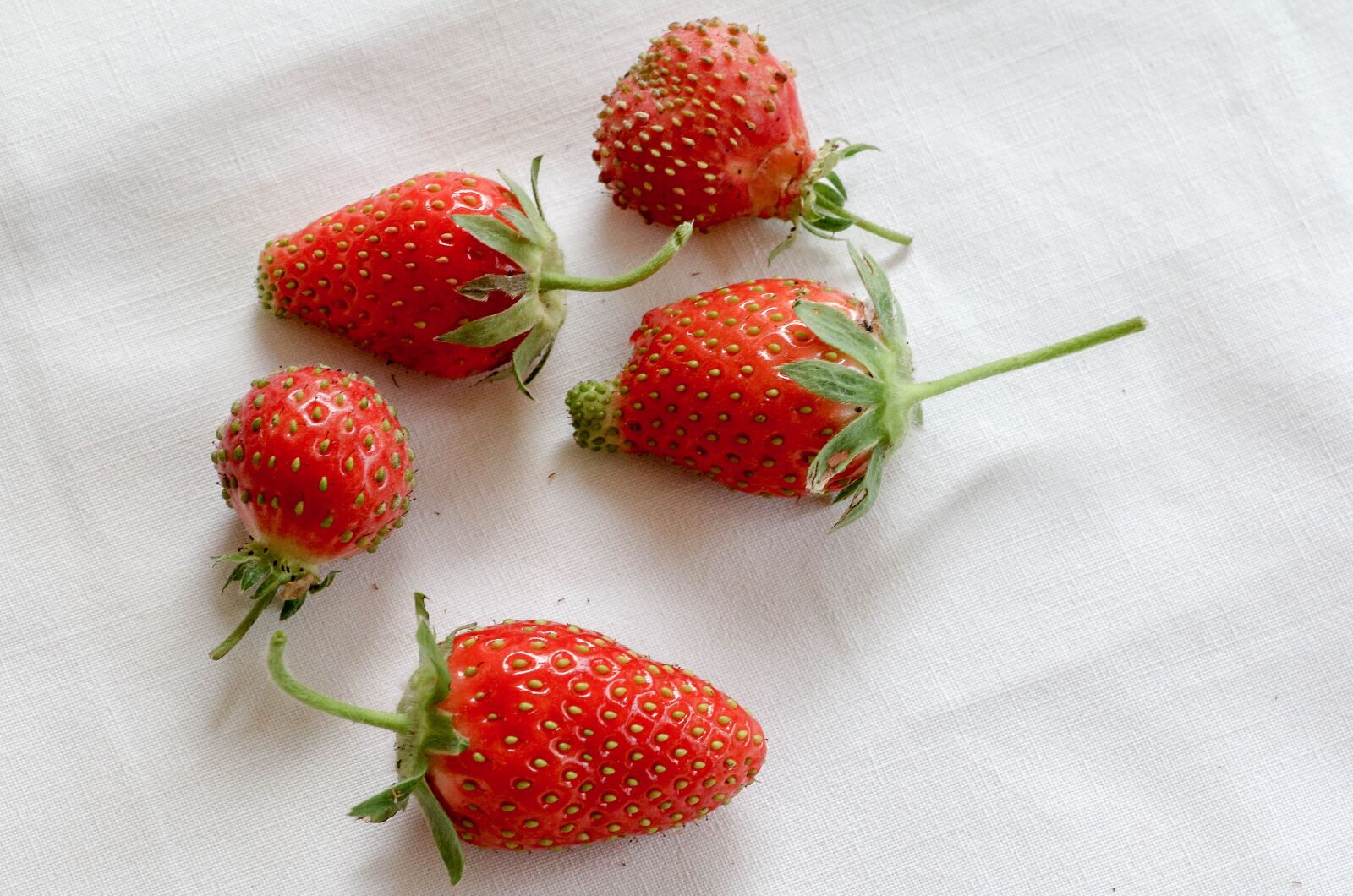 Canon EOS 70D + Tokina AT-X Pro 100mm F2.8 Macro sample photo. Strawberries, fruit, red photography