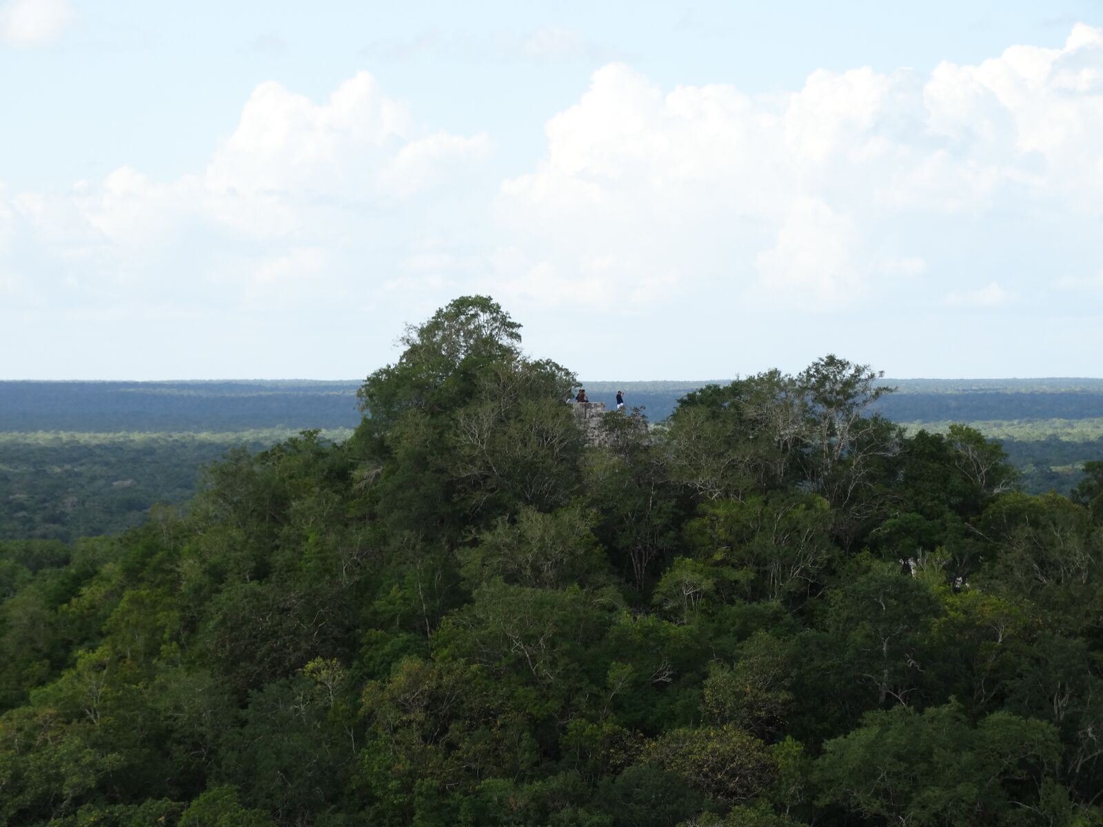 Sony Cyber-shot DSC-HX300 sample photo. Selva, horizonte, trees photography