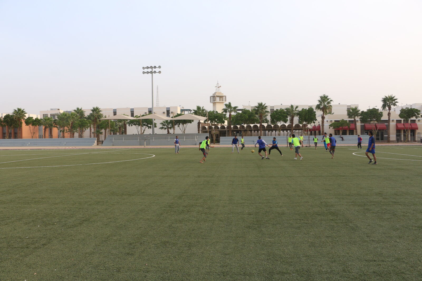 Canon EOS 70D sample photo