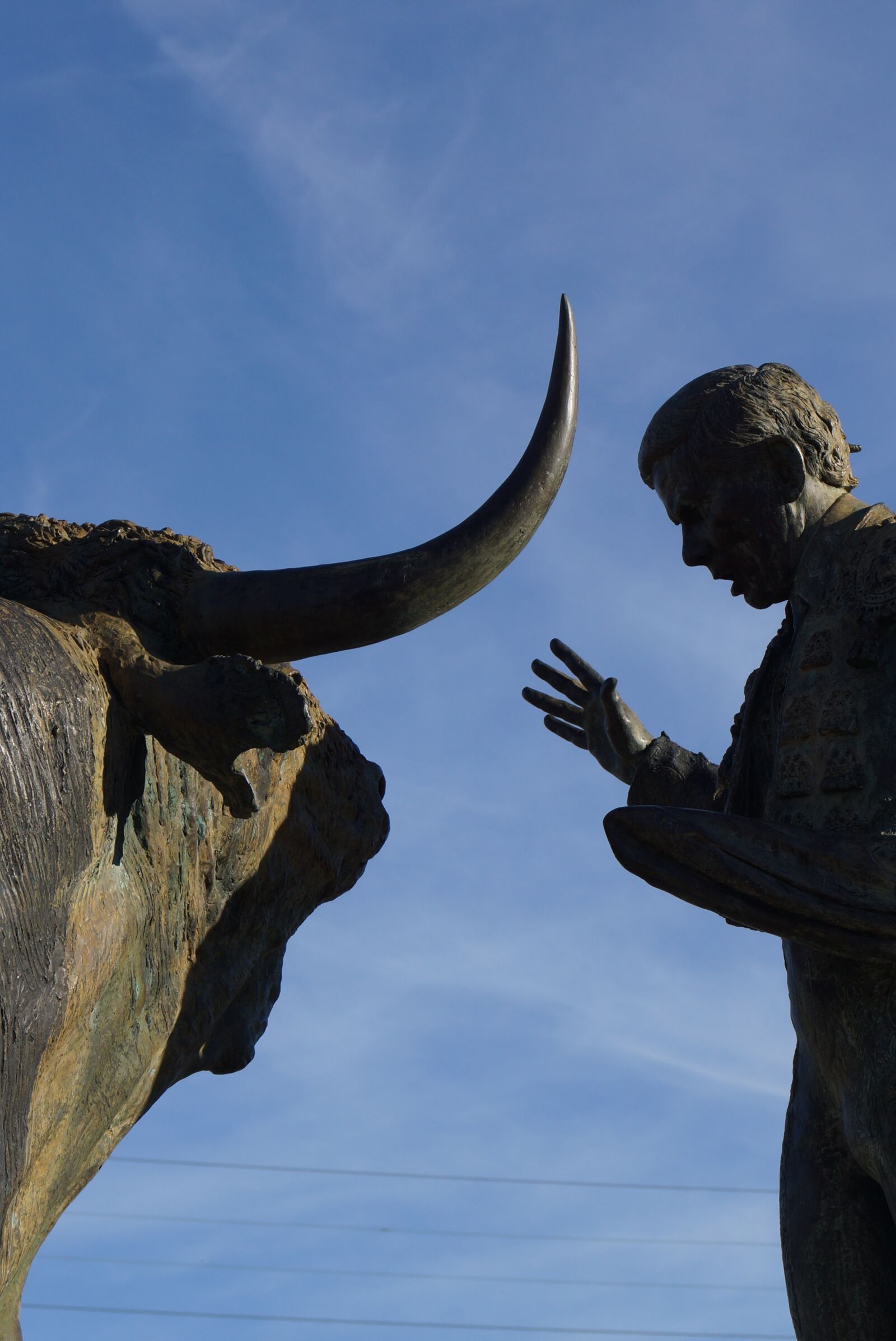 Sony SLT-A65 (SLT-A65V) + Sony DT 18-55mm F3.5-5.6 SAM sample photo. Statue, bull, man photography