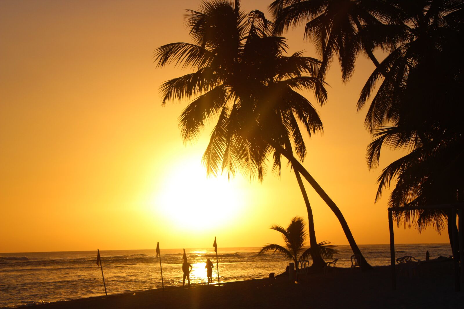 Canon EOS 600D (Rebel EOS T3i / EOS Kiss X5) sample photo. Beach, sunset, sun photography