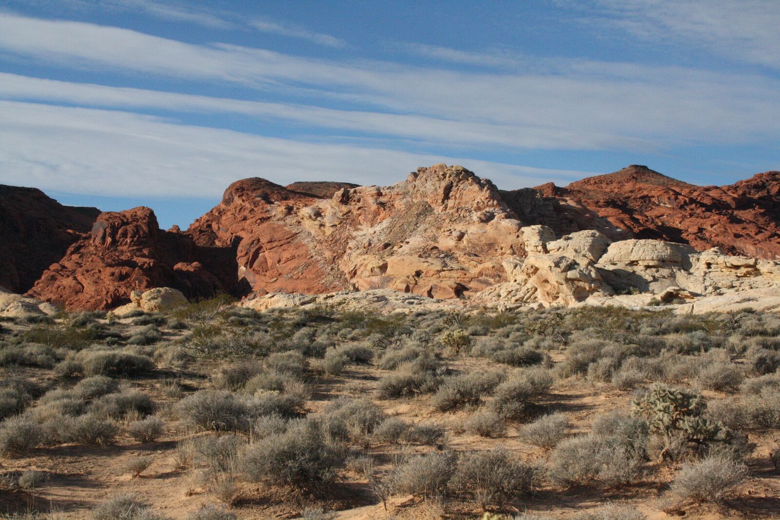 Canon EOS 1000D (EOS Digital Rebel XS / EOS Kiss F) sample photo. Usa, nevada, valley of photography