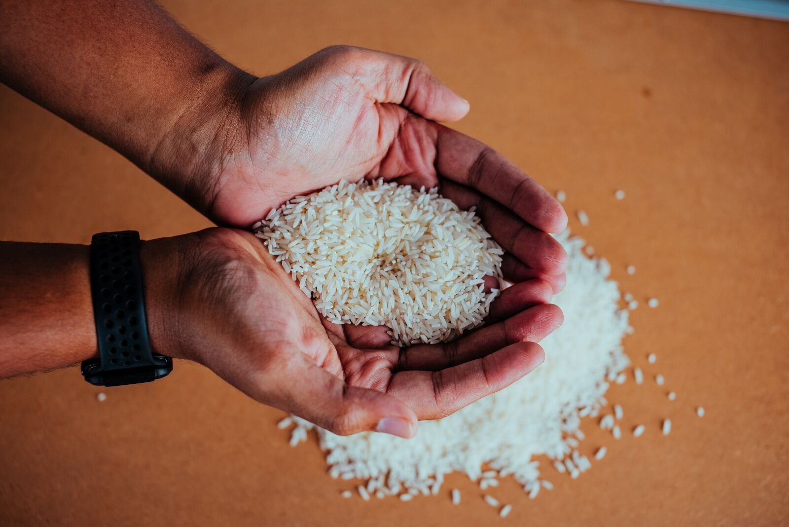 Nikon D750 sample photo. Rice, paddy, eat photography