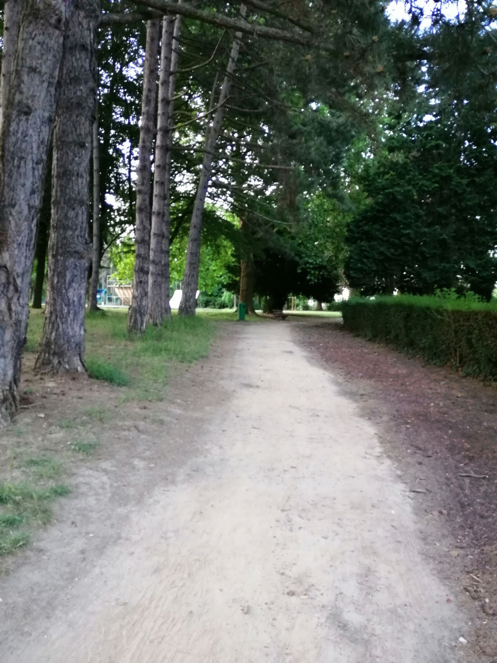 HUAWEI SNE-LX1 sample photo. Path, trees, path and photography