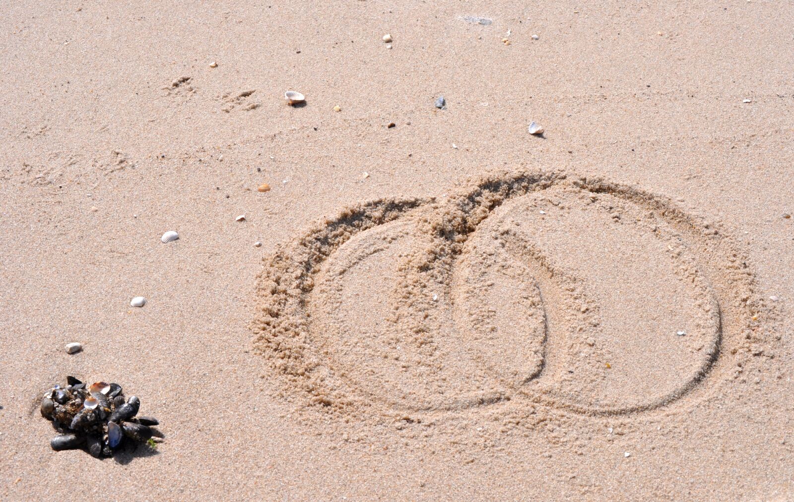 Nikon D5000 sample photo. Beach, sand, rings photography