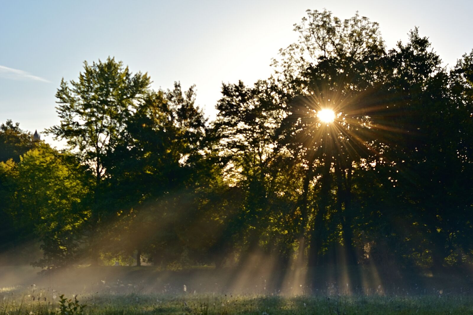 Nikon D5200 sample photo. Sunrise, park, landscape photography