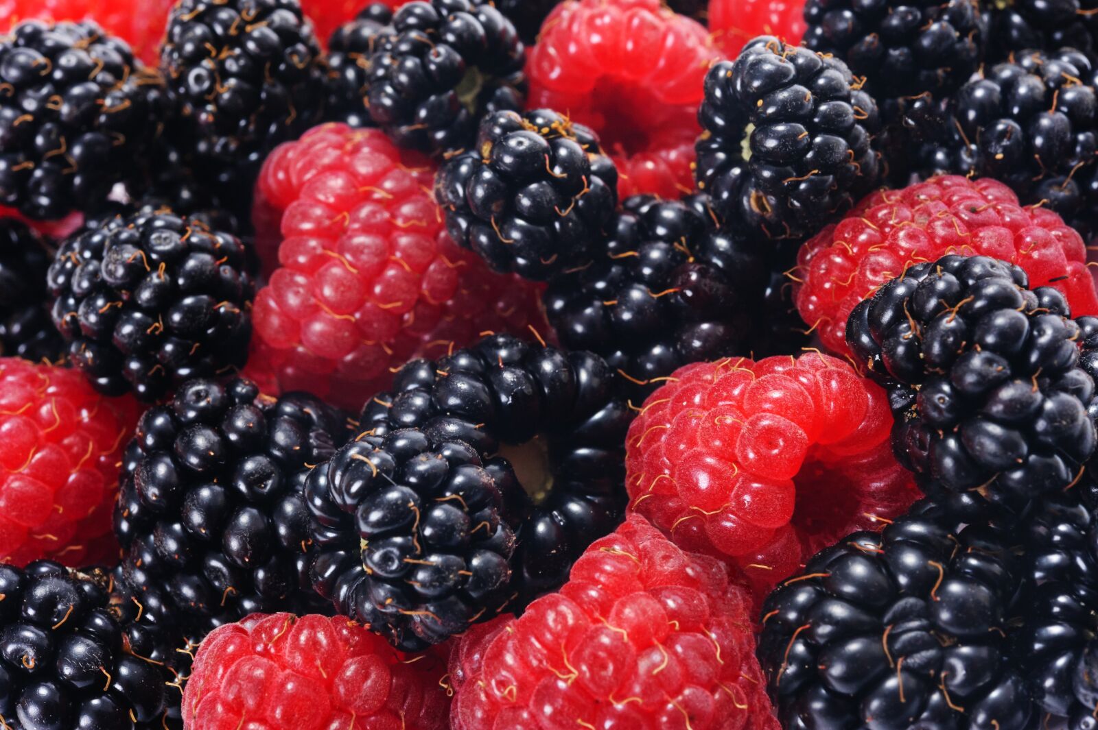 Nikon D3 sample photo. Raspberries and blackberries, forest photography