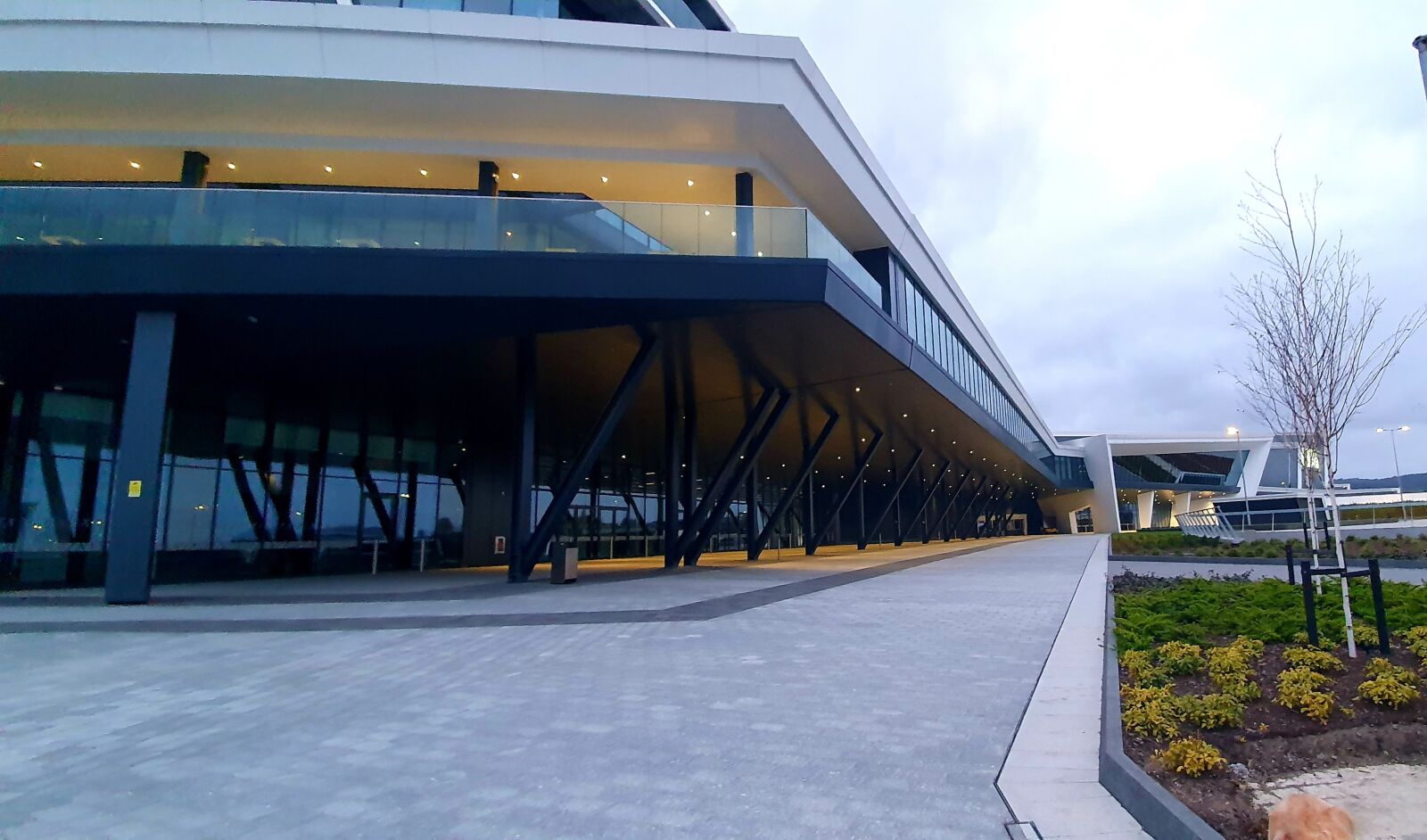 Samsung Galaxy S10+ sample photo. Teca, aberdeen, building photography
