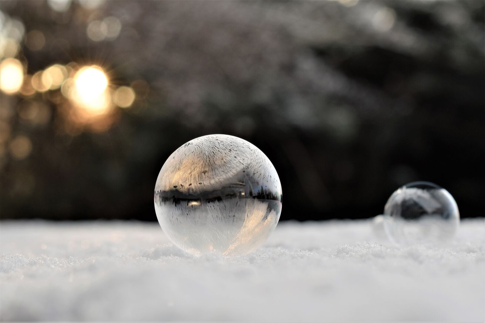 Nikon D5500 sample photo. Soap bubble, frozen, eiskristalle photography