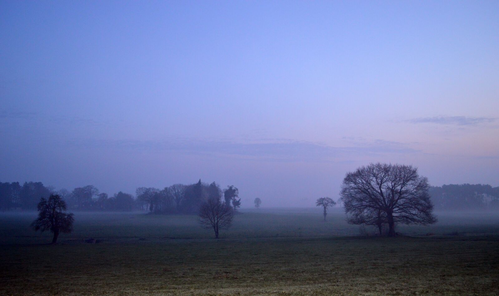 Nikon D3200 sample photo. Landscape, field, nature photography