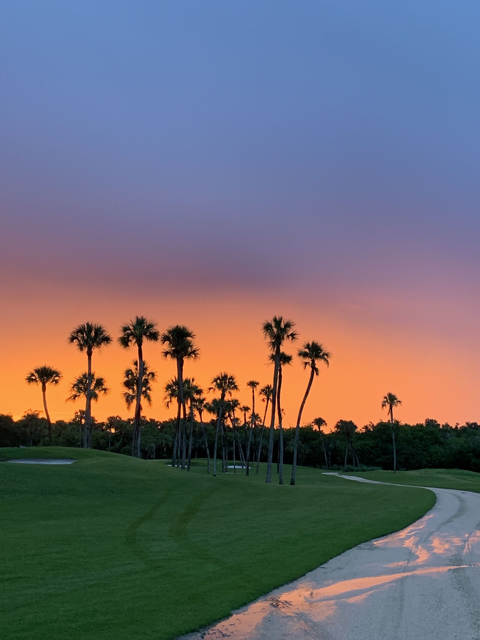 Apple iPhone XR sample photo. Sunset, golf course, florida photography