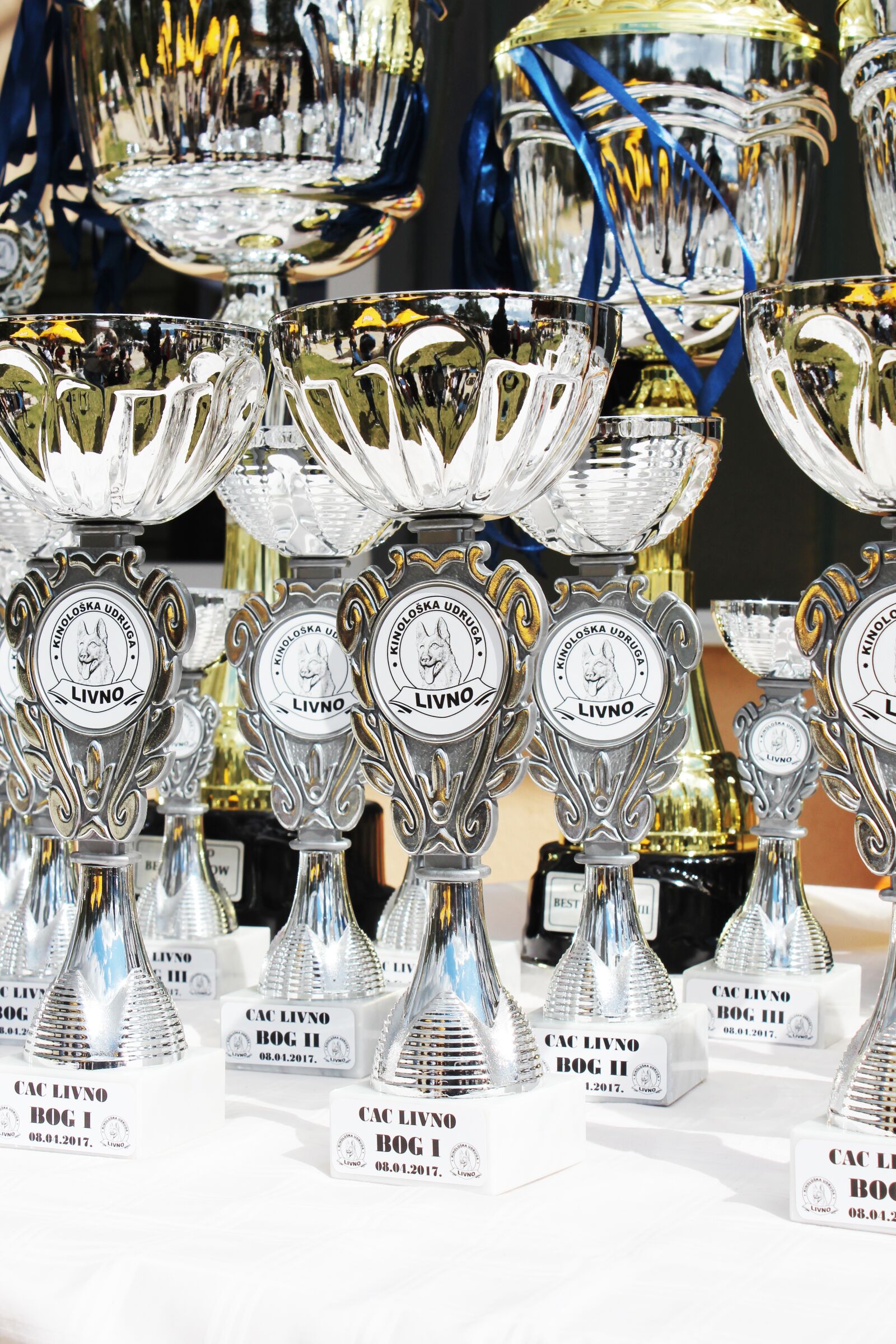 Canon EOS 600D (Rebel EOS T3i / EOS Kiss X5) sample photo. Dog show, winners, trophies photography