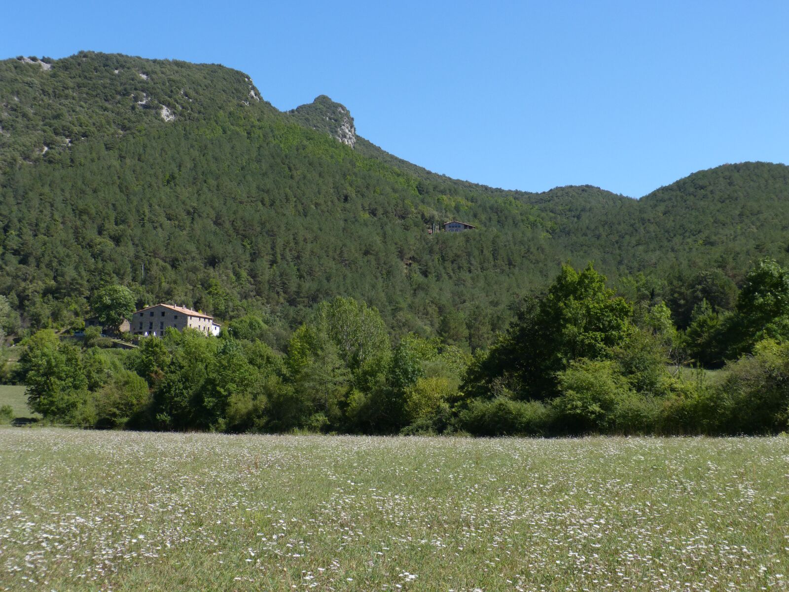 Panasonic DMC-FZ62 sample photo. Landscape, prado, mountains photography