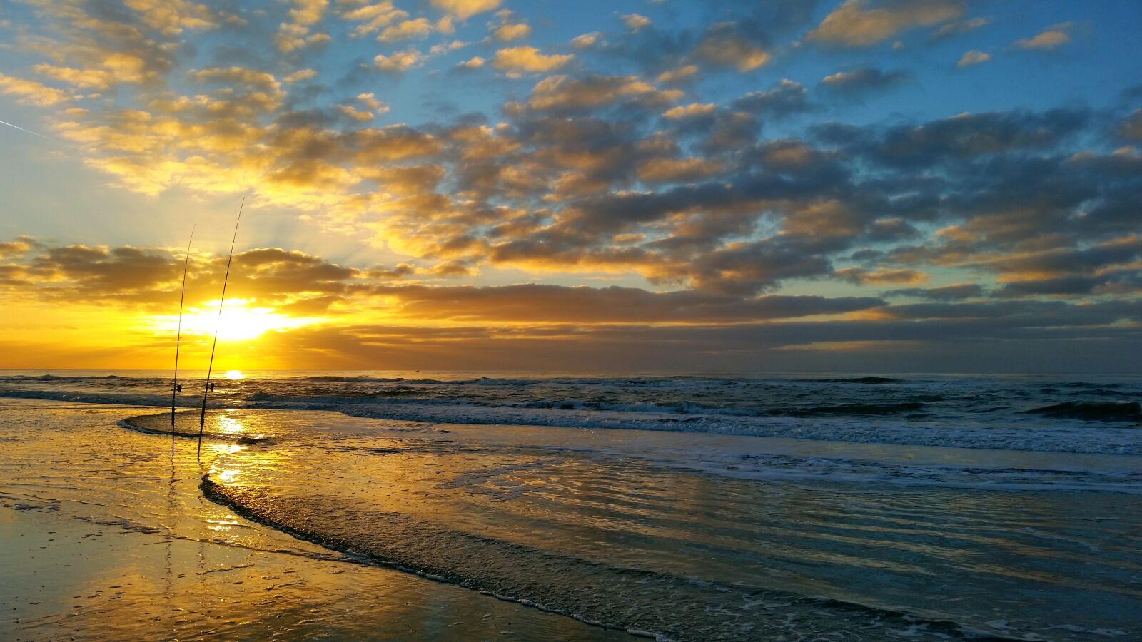 Samsung Galaxy S5 sample photo. Fish, north sea, sea photography