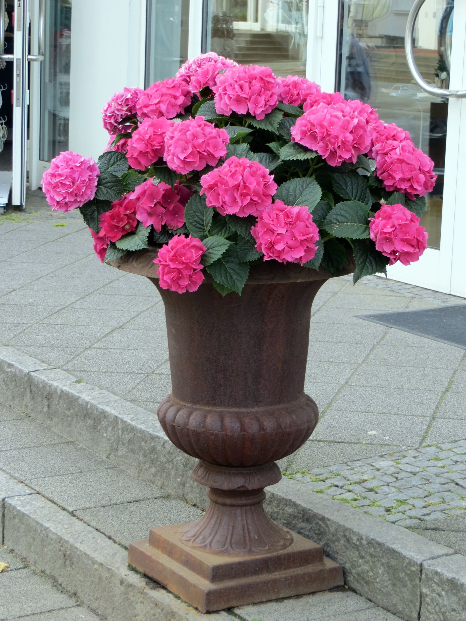 Canon PowerShot SX240 HS sample photo. Flowers, flora, decor photography