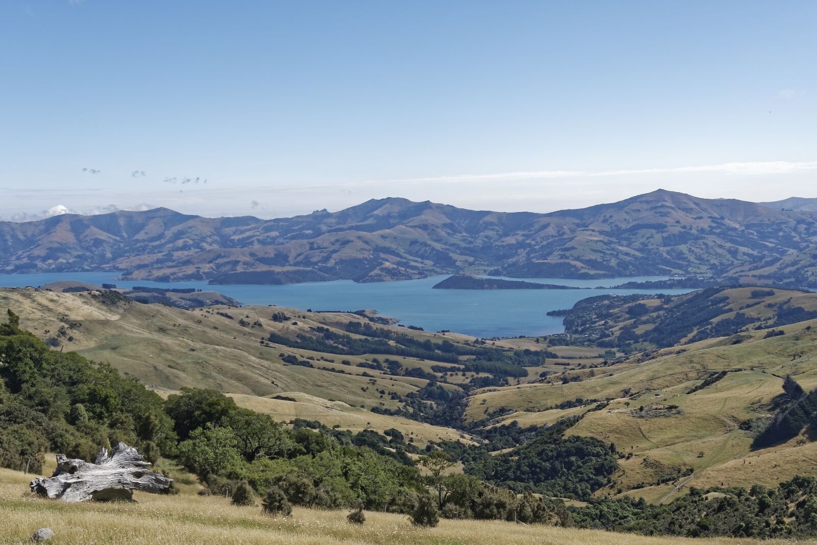 Nikon D500 sample photo. New zealand, banks peninsula photography