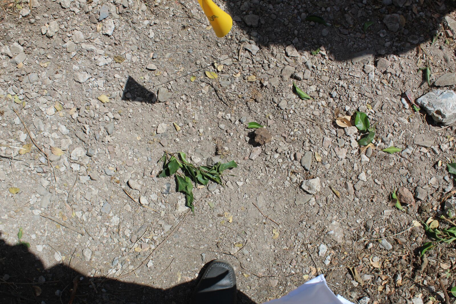 Canon EOS 1300D (EOS Rebel T6 / EOS Kiss X80) sample photo. Criminalistics, of, field photography