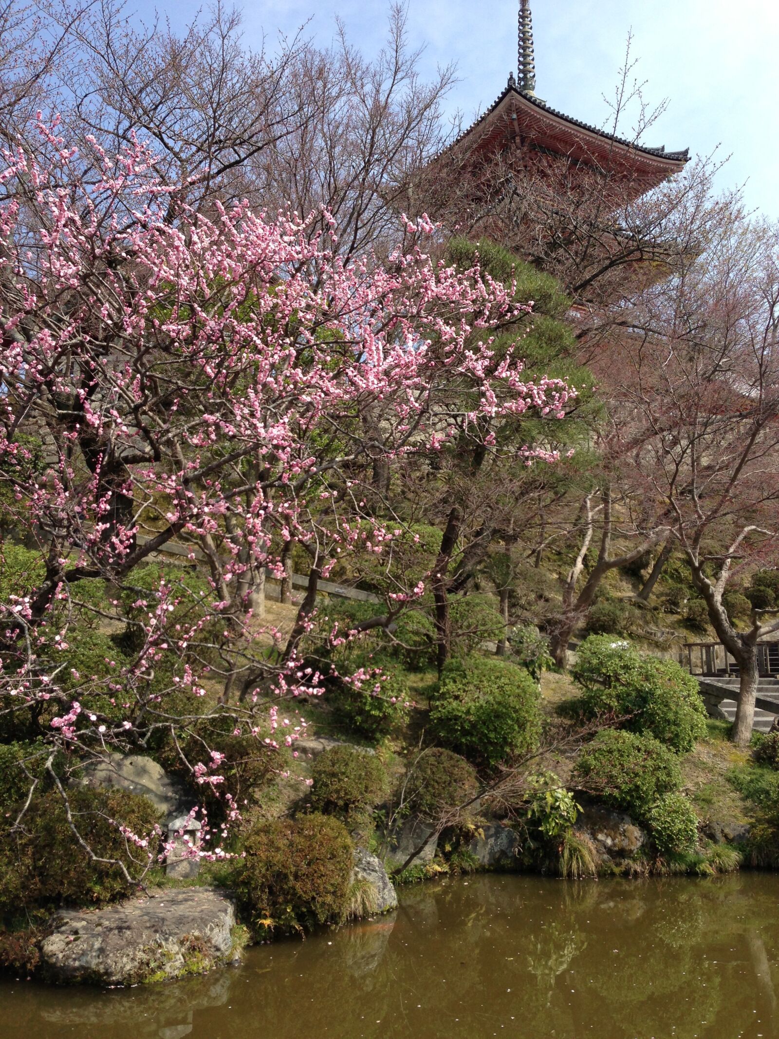 Apple iPhone 5 sample photo. Japan, sakura, spring photography