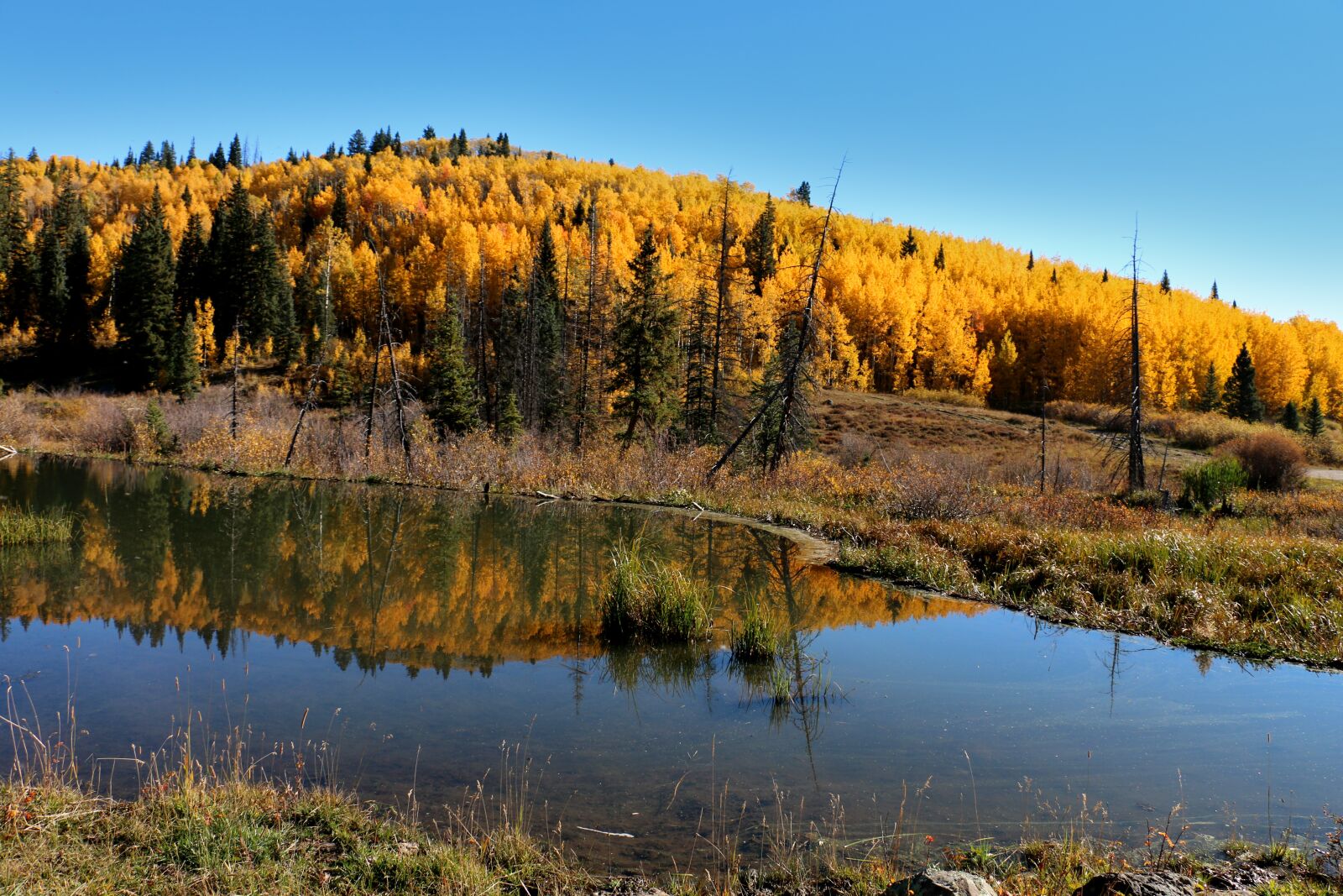 Canon EOS 70D sample photo. Fall, mountains, pond photography