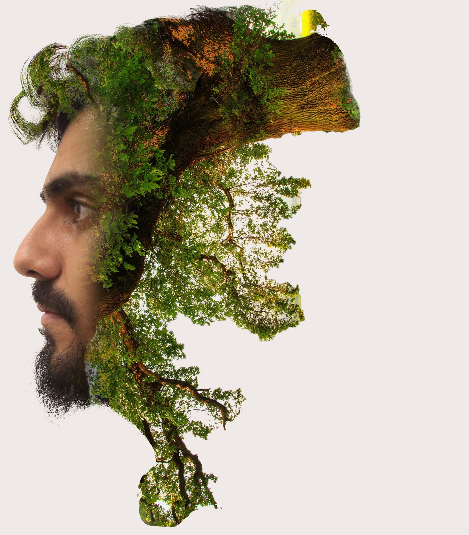 Canon EF 24-70mm F2.8L II USM sample photo. Double exposure, photoshop, layer photography
