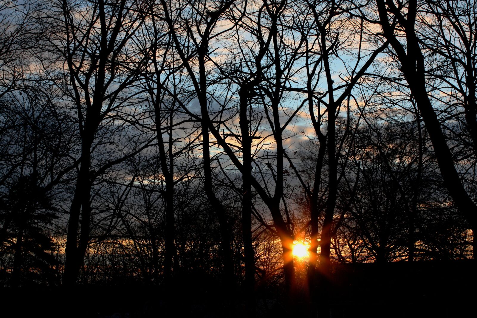 Canon EOS 450D (EOS Rebel XSi / EOS Kiss X2) sample photo. Sunset, fall, nature photography
