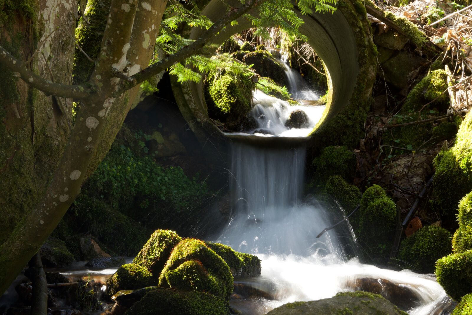 Nikon D5300 sample photo. Waterfall, bach, waters photography
