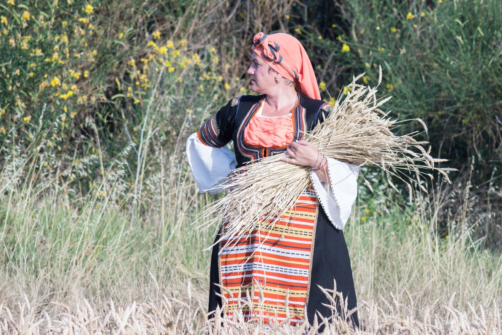 Nikon D7200 sample photo. Harvest, summer, nature photography