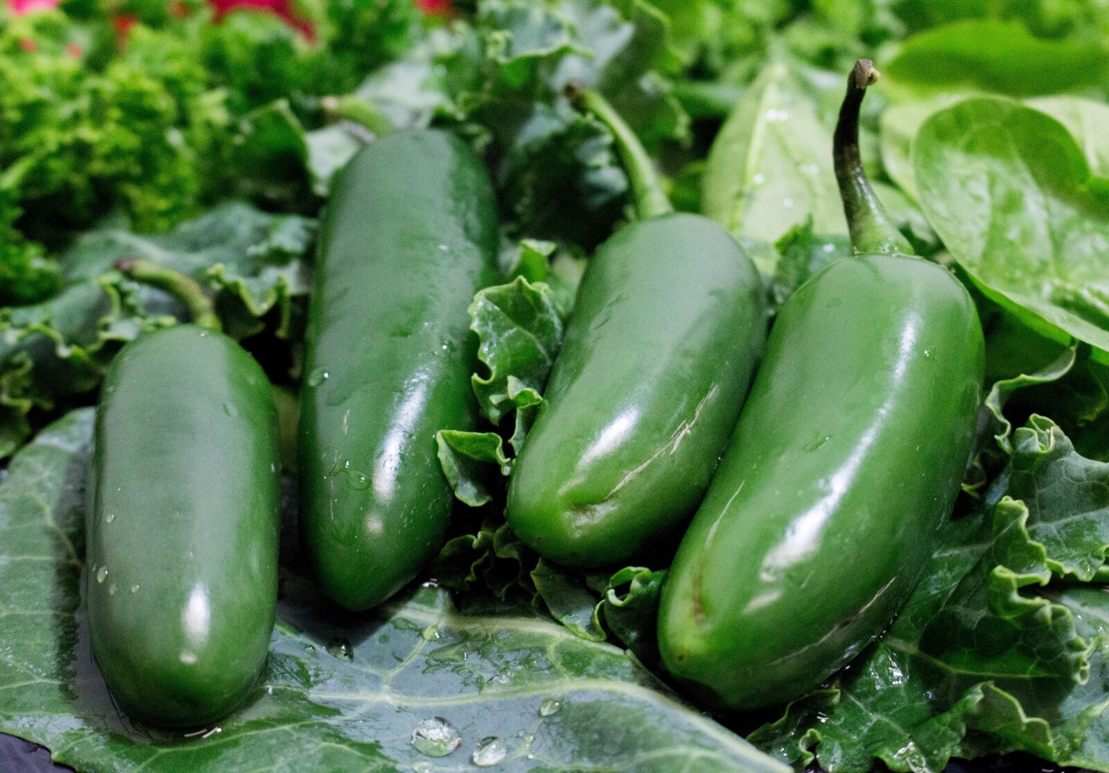Canon EOS 700D (EOS Rebel T5i / EOS Kiss X7i) sample photo. Vegetable, food, flora photography