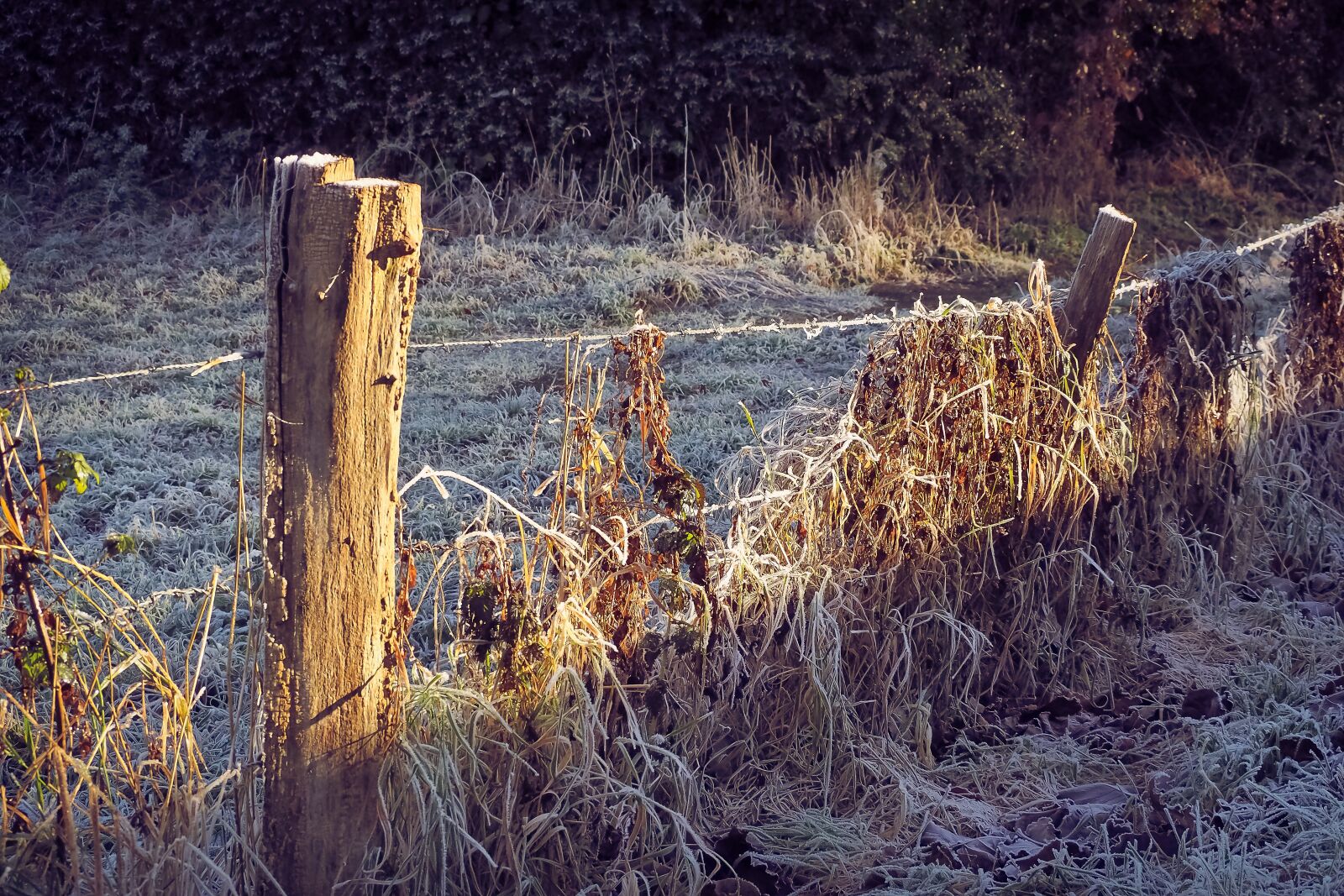 Olympus OM-D E-M10 sample photo. Landscape, nature, mood photography