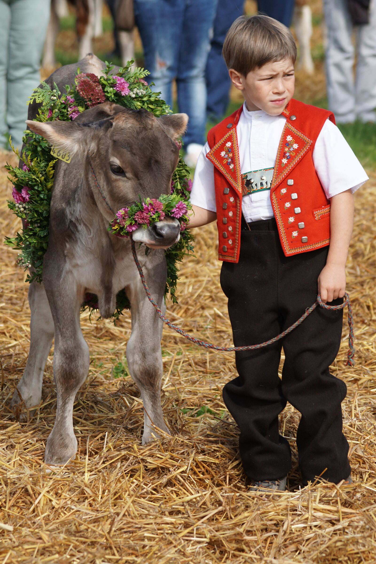 Sony 70-400mm F4-5.6 G SSM sample photo. Cattle show, customs, appenzellerland photography