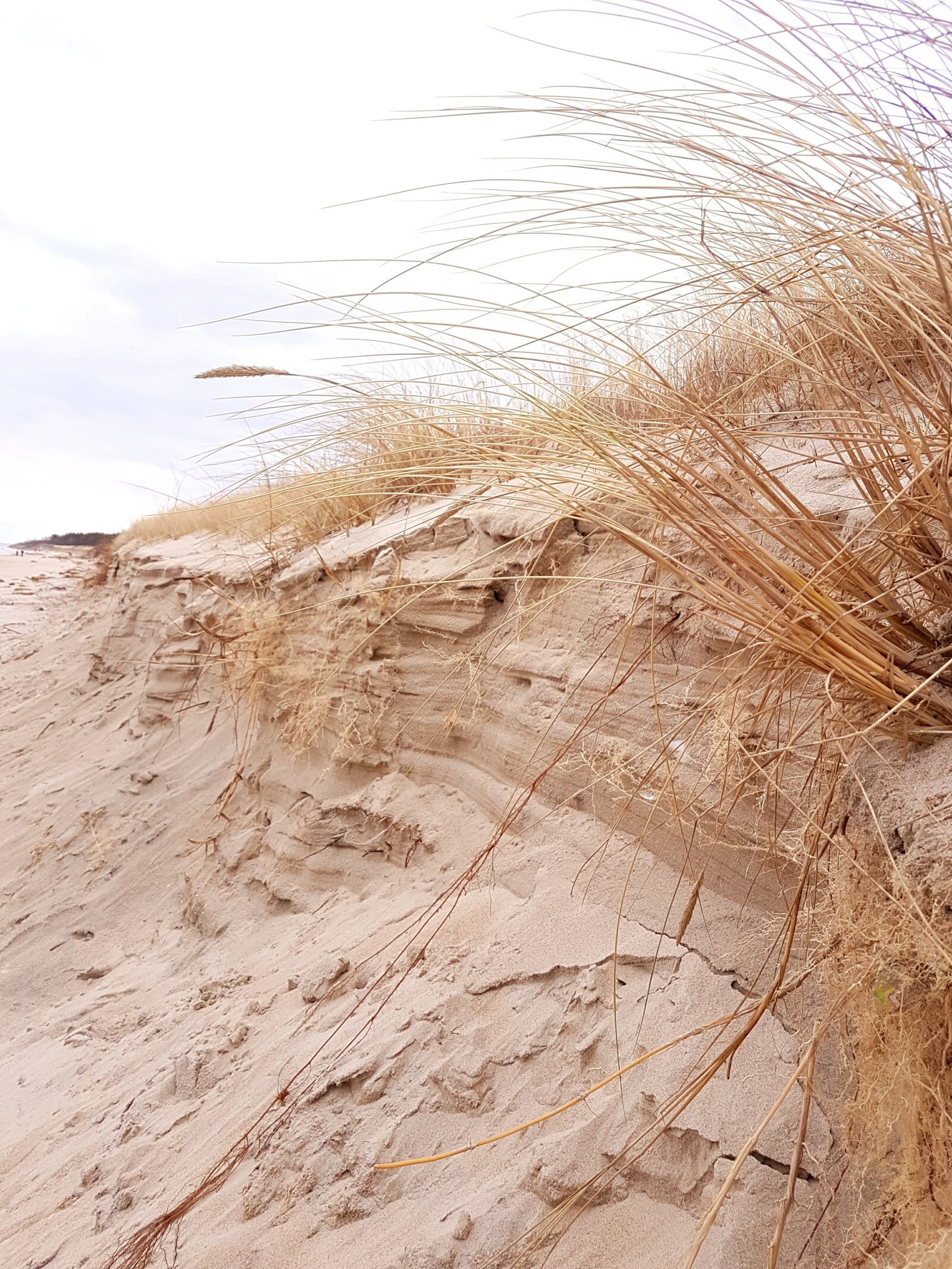 Samsung Galaxy S7 Edge sample photo. Sea, sand, beach photography