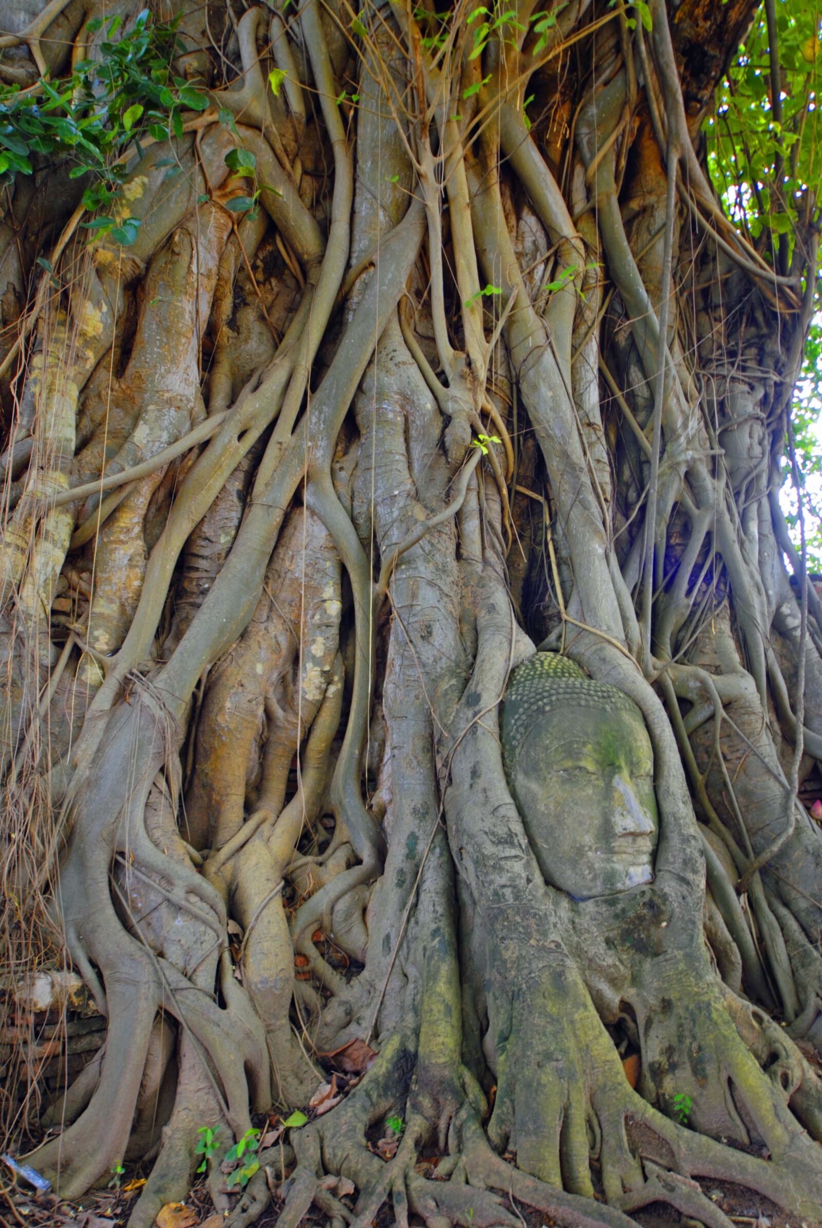 Nikon D80 sample photo. Asia, thailand, travel photography