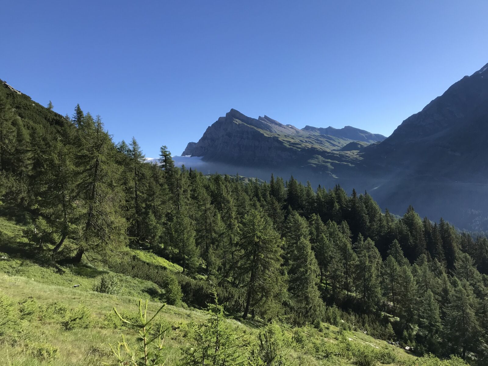 iPhone 7 back camera 3.99mm f/1.8 sample photo. Towards the rodond, alpine photography