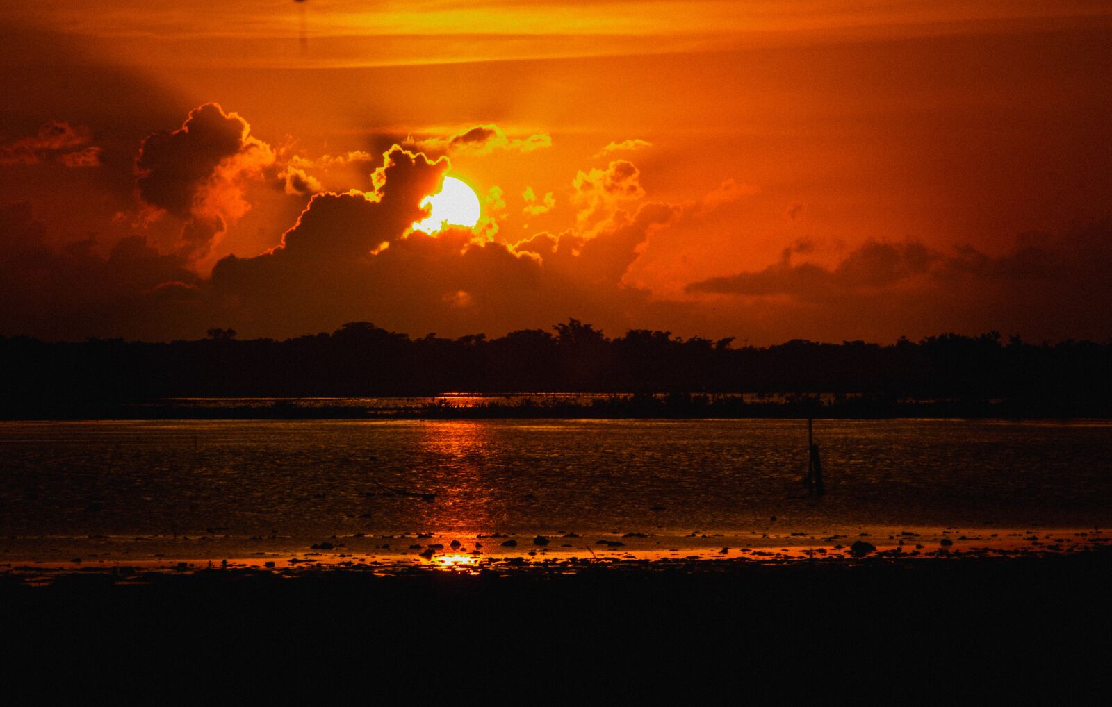 Canon EOS 600D (Rebel EOS T3i / EOS Kiss X5) + EF75-300mm f/4-5.6 sample photo. Sunset, orange skies, silhouette photography