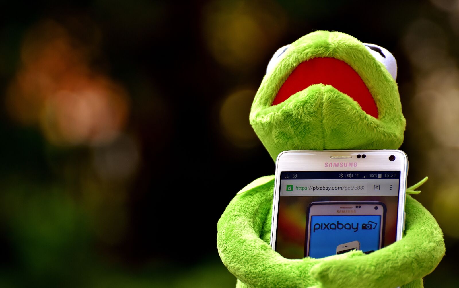 Nikon D7200 sample photo. Kermit, frog, smartphone photography