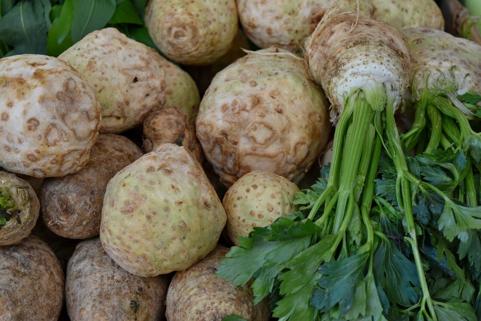 Nikon D5500 sample photo. Vegetable, food, produce, healthy photography
