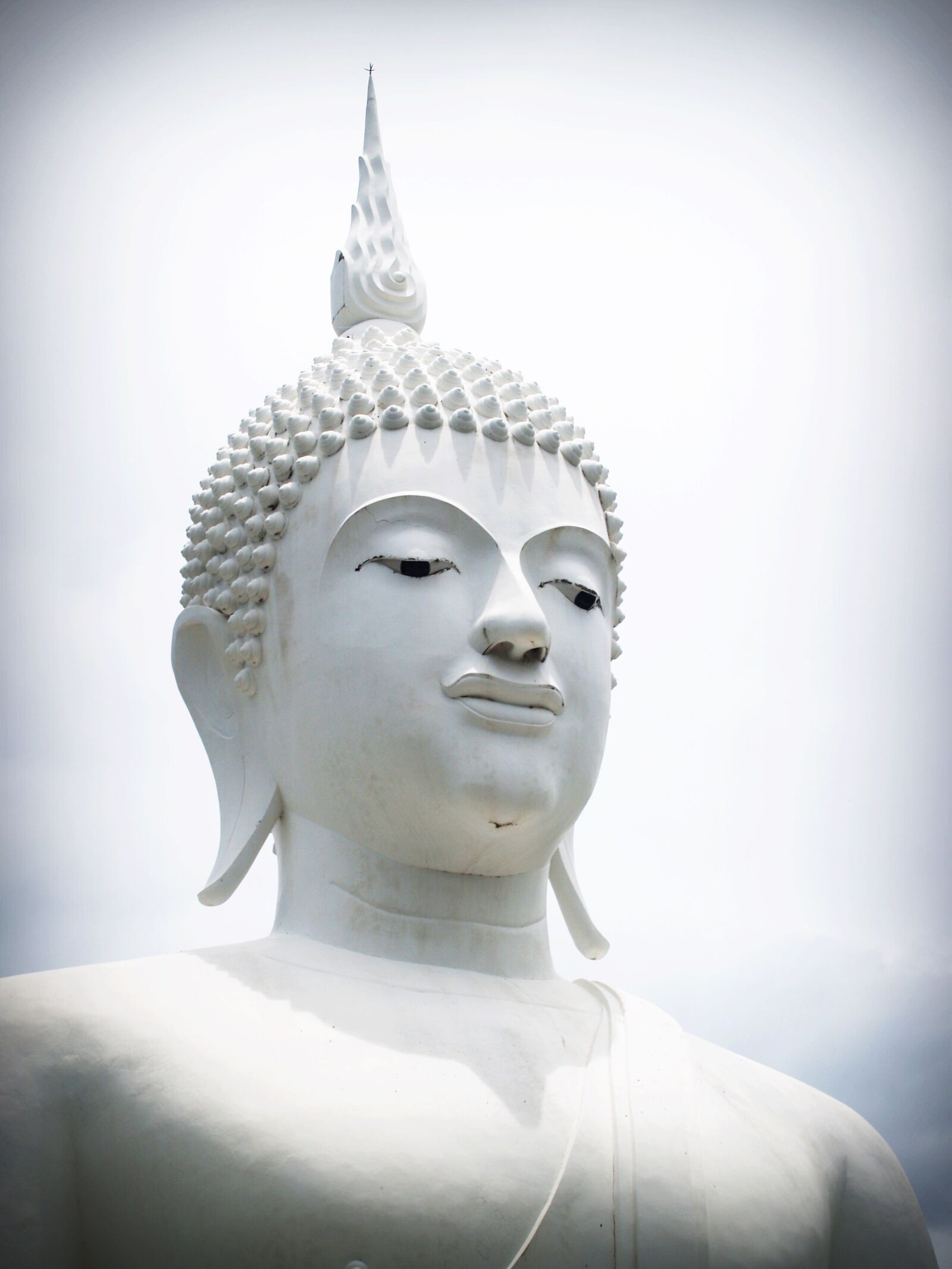 Olympus E-300 (EVOLT E-300) sample photo. Buddha, india, mind photography