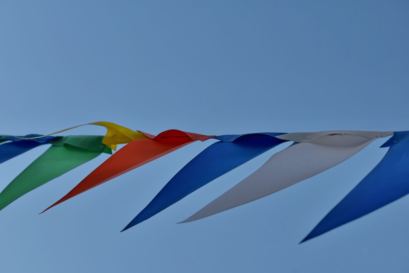 Nikon D5500 sample photo. Carnival, festival, rope, wind photography